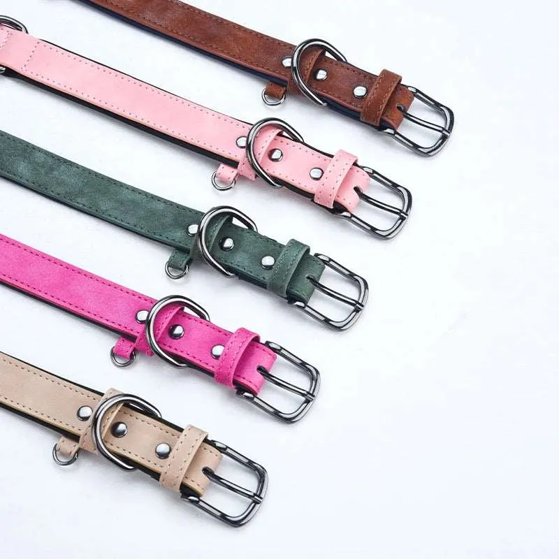 Adjustable Soft Padded Dog Collar – Durable and Comfortable for All Dog Sizes