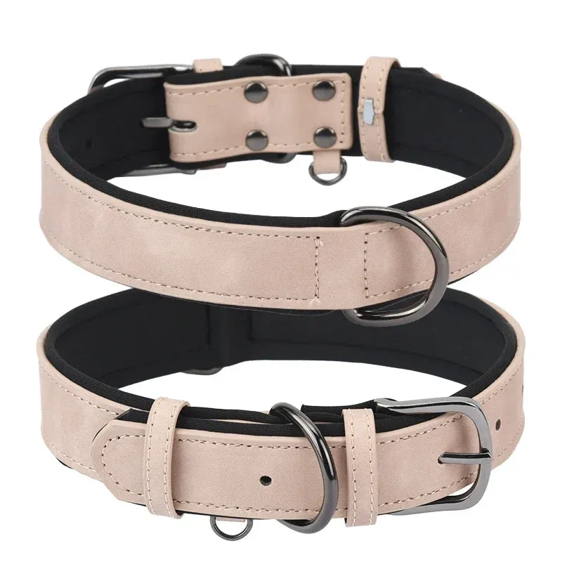 Adjustable Soft Padded Dog Collar – Durable and Comfortable for All Dog Sizes