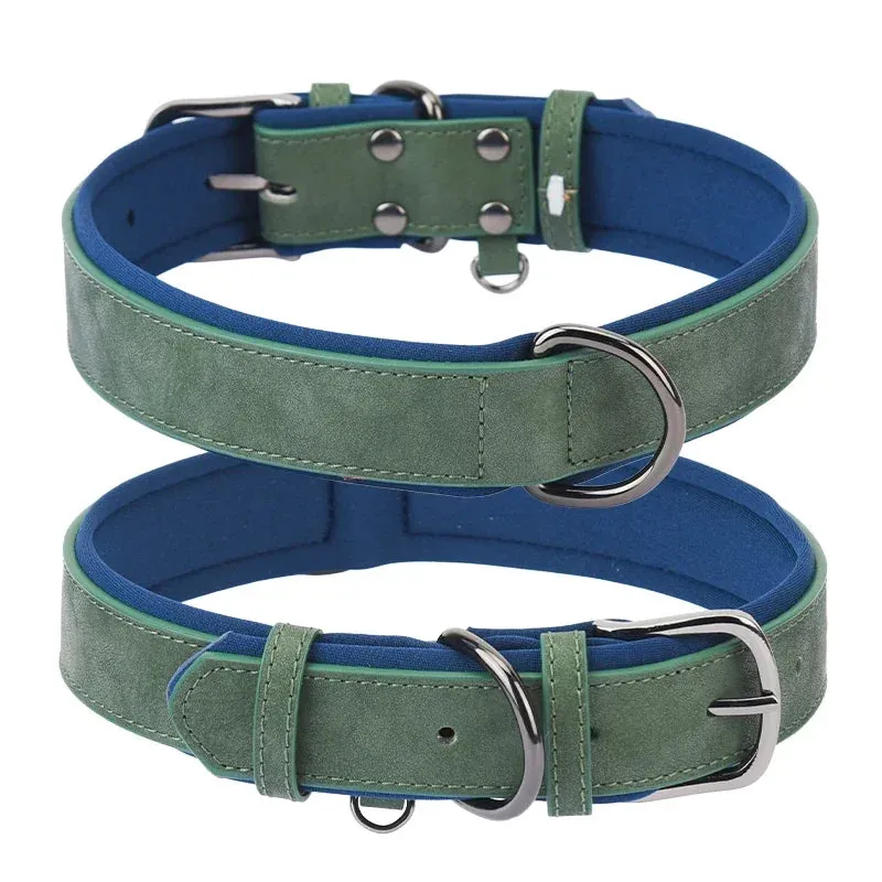 Adjustable Soft Padded Dog Collar – Durable and Comfortable for All Dog Sizes