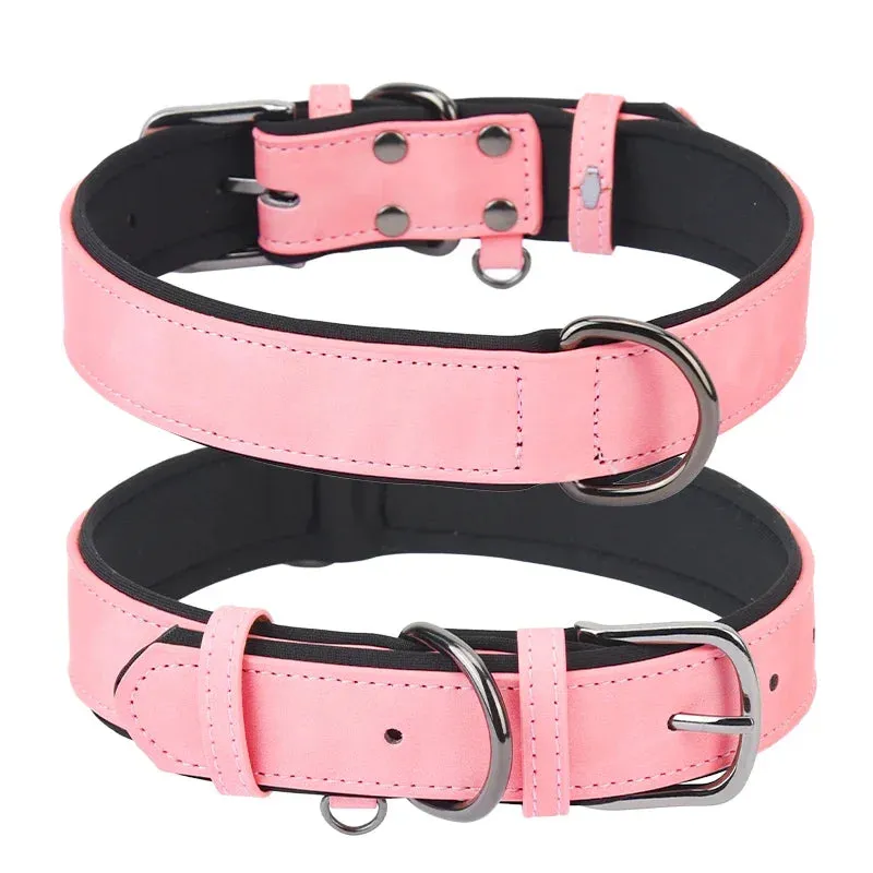 Adjustable Soft Padded Dog Collar – Durable and Comfortable for All Dog Sizes