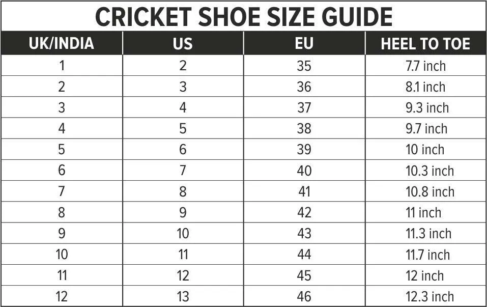 DSC Beamer Cricket Shoes - White/Blue - Rubber Sole - Adult & Kids