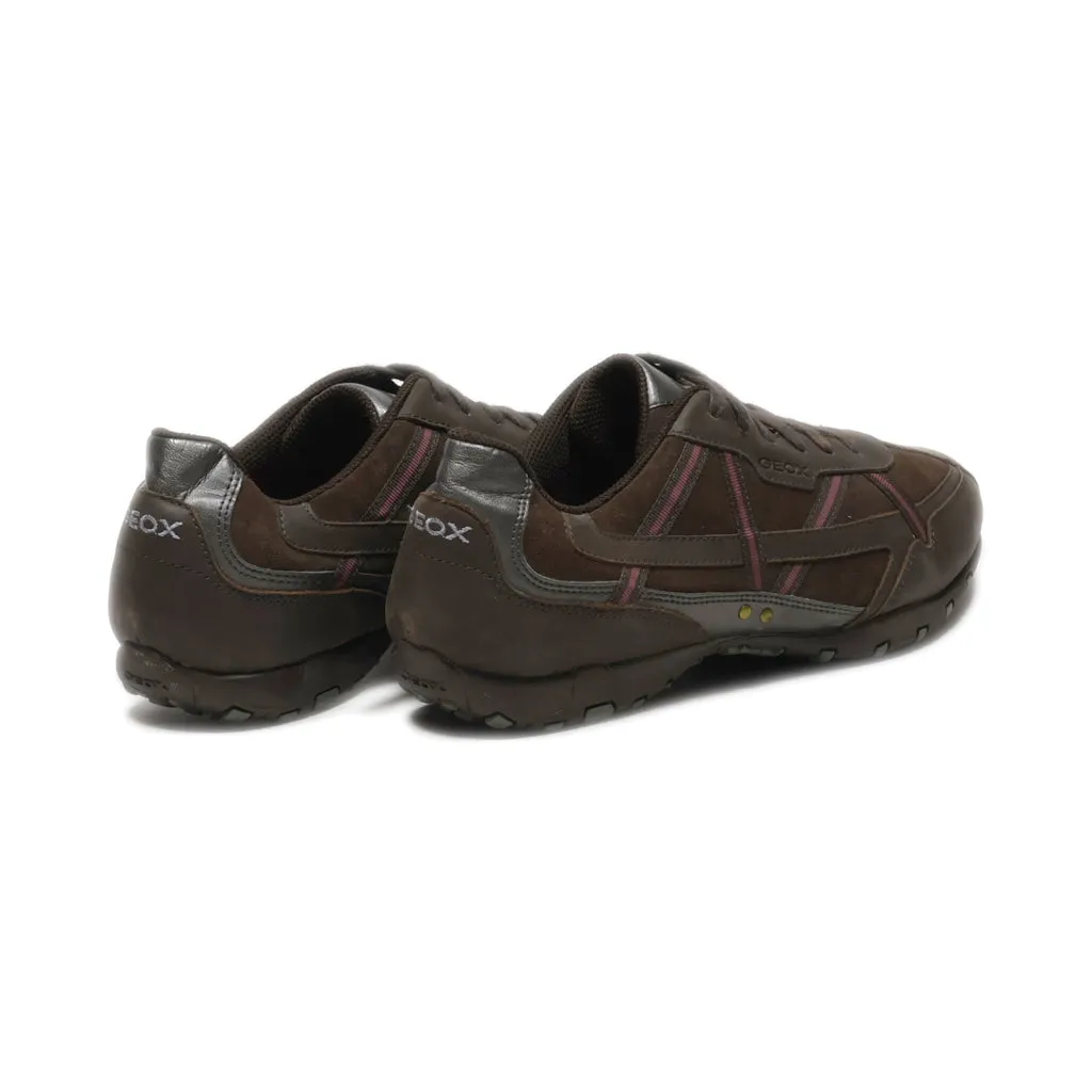 Geox Lace Ups Suede Brown Colour For Women