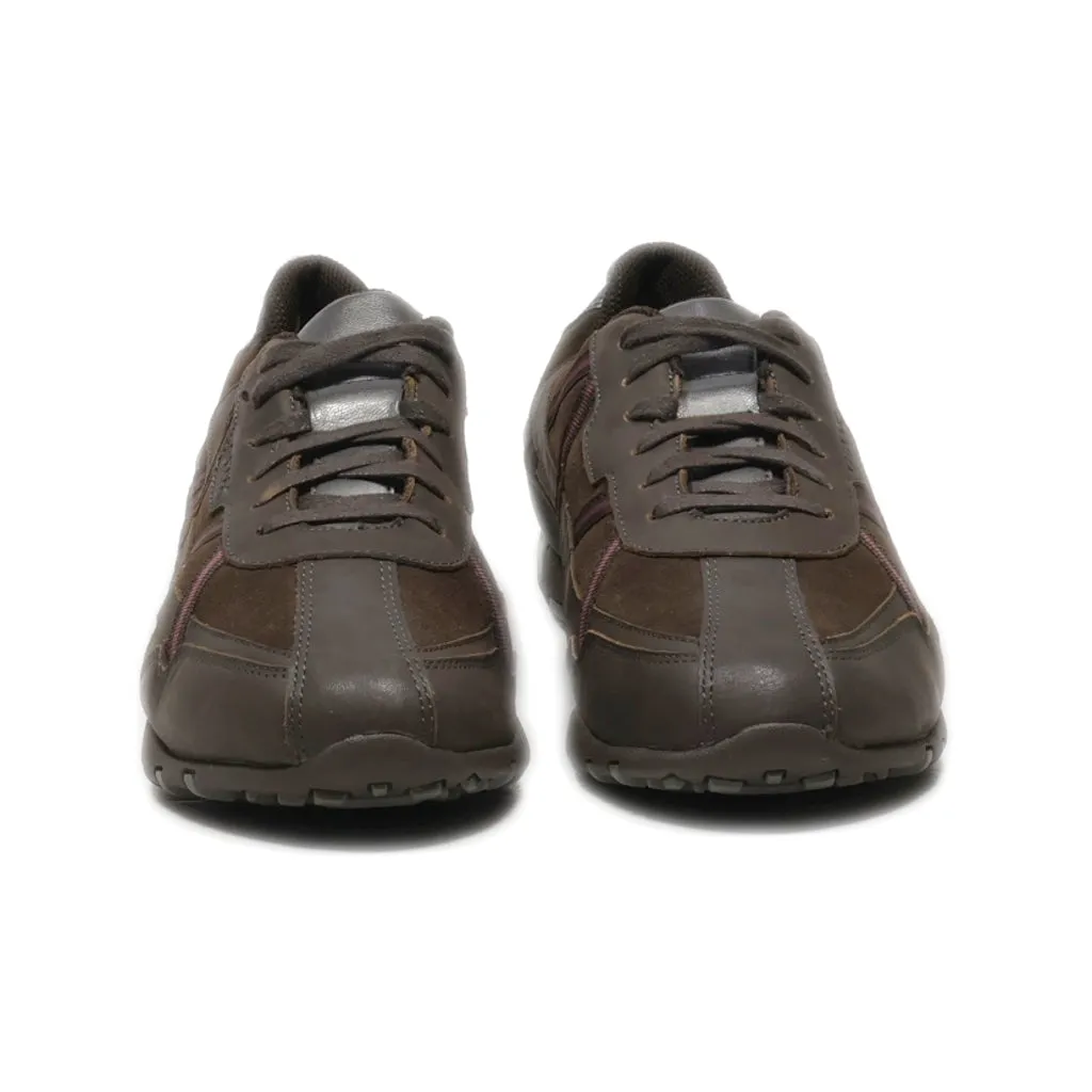 Geox Lace Ups Suede Brown Colour For Women