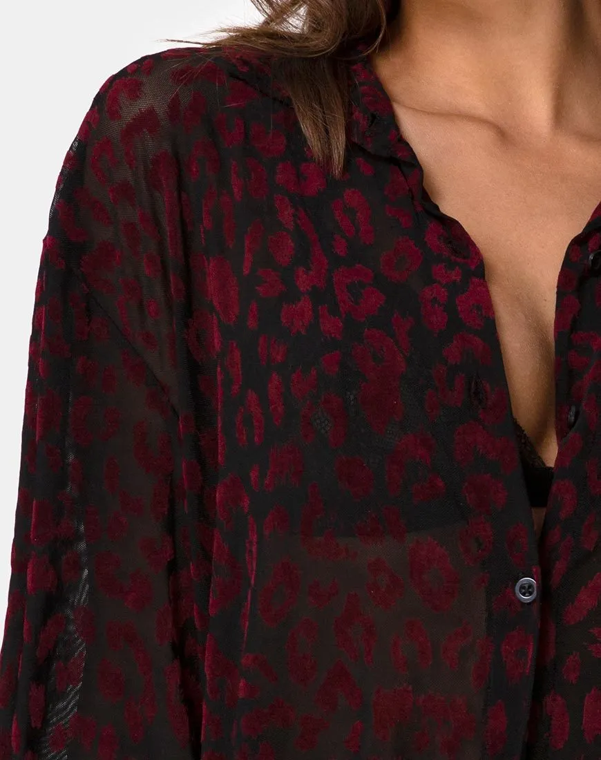 Phobe Shirt in Red Leopard Flock Net